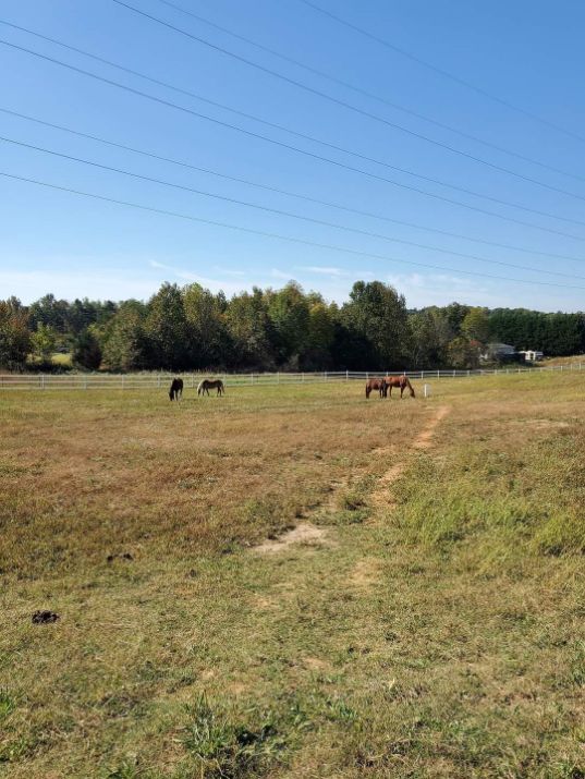 Horse Boarding